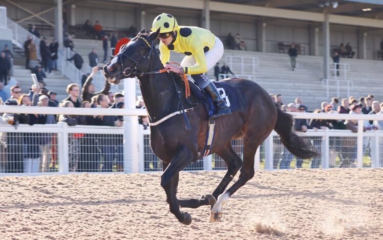 Royal Champion seals G3 BetUK Winter Derby in style