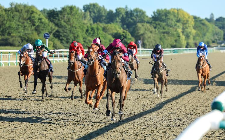 Immortal Beauty Racing League at Lingfield 